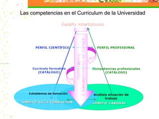 Las competencias en el Curriculum de la Universidad
 