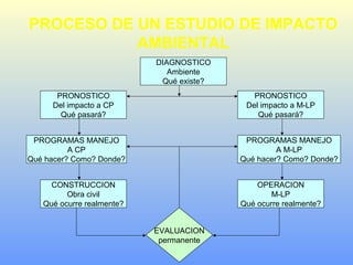 PROCESO DE UN ESTUDIO DE IMPACTO
AMBIENTAL
DIAGNOSTICO
Ambiente
Qué existe?
PRONOSTICO
Del impacto a M-LP
Qué pasará?
OPERACION
M-LP
Qué ocurre realmente?
PROGRAMAS MANEJO
A M-LP
Qué hacer? Como? Donde?
PRONOSTICO
Del impacto a CP
Qué pasará?
CONSTRUCCION
Obra civil
Qué ocurre realmente?
PROGRAMAS MANEJO
A CP
Qué hacer? Como? Donde?
EVALUACION
permanente
 