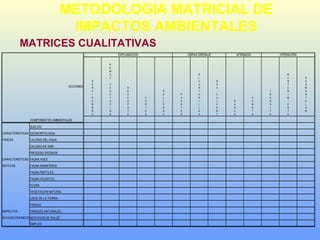 METODOLOGIA MATRICIAL DE
IMPACTOS AMBIENTALES
MATRICES CUALITATIVAS
ACCIONES
S
E
R
V
I
D
U
M
B
R
E
R
E
M
O
C
V
E
G
E
T
A
C
I
O
N
D
E
S
C
A
P
O
T
E
C
O
R
T
E
S
R
E
L
L
E
N
O
S
P
U
E
N
T
E
S
A
L
C
A
N
T
A
R
I
L
L
A
S
B
O
X
-
C
U
L
V
E
R
T
B
A
N
C
A
C
U
N
E
T
A
T
R
A
N
S
I
T
O
M
A
N
T
E
N
I
M
I
E
N
T
O
D
E
S
M
A
N
T
E
L
A
M
.
COMPONENTES AMBIENTALES
SUELOS
CARACTERISTICAS GEOMORFOLOGIA
FISICAS CALIDAD DEL AGUA
CALIDAD DE AIRE
PROCESO EROSION
CARACTERISTICAS FAUNA AVES
BIOTICAS FAUNA MAMIFEROS
FAUNA REPTILES
FAUNA ACUATICA
FLORA
VEGETACION NATURAL
USOS DE LA TIERRA
PAISAJE
ASPECTOS PARQUES NATURALES
SOCIOECONOMICOSSERVICIOS DE SALUD
EMPLEO
OPERACIÓNAFIRMADOOBRAS DRENAJEEXPLANACION
 