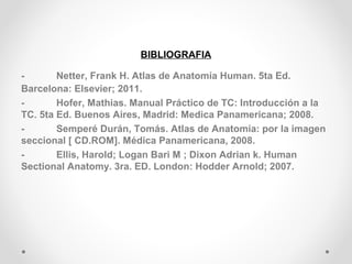 BIBLIOGRAFIA 
- Netter, Frank H. Atlas de Anatomía Human. 5ta Ed. 
Barcelona: Elsevier; 2011. 
- Hofer, Mathias. Manual Práctico de TC: Introducción a la 
TC. 5ta Ed. Buenos Aires, Madrid: Medica Panamericana; 2008. 
- Semperé Durán, Tomás. Atlas de Anatomía: por la imagen 
seccional [ CD.ROM]. Médica Panamericana, 2008. 
- Ellis, Harold; Logan Bari M ; Dixon Adrian k. Human 
Sectional Anatomy. 3ra. ED. London: Hodder Arnold; 2007. 
