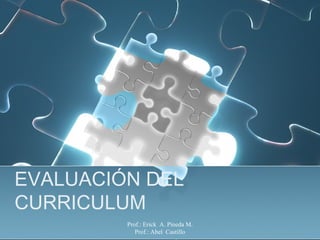 Prof.: Erick A. Pineda M.
Prof.: Abel Castillo
EVALUACIÓN DEL
CURRICULUM
 