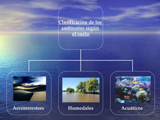 Clasificación de los  ambientes según  el suelo Aeroterrestres   Humedales Acuáticos   