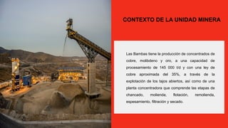 Evaluación de Impactos Ambientales y Sociales del Proyecto Minero.pptx