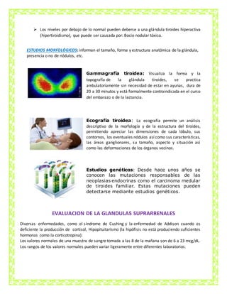  Los niveles por debajo de lo normal pueden deberse a una glándula tiroides hiperactiva
(hipertiroidismo), que puede ser causada por: Bocio nodular tóxico.
ESTUDIOS MORFOLÓGICOS: informan el tamaño, forma y estructura anatómica de la glándula,
presencia o no de nódulos, etc.
Gammagrafía tiroidea: Visualiza la forma y la
topografía de la glándula tiroides, se practica
ambulatoriamente sin necesidad de estar en ayunas, dura de
20 a 30 minutos y está formalmente contraindicada en el curso
del embarazo o de la lactancia.
Ecografía tiroidea: La ecografía permite un análisis
descriptivo de la morfología y de la estructura del tiroides,
permitiendo apreciar las dimensiones de cada lóbulo, sus
contornos, los eventuales nódulos así como sus características,
las áreas ganglionares, su tamaño, aspecto y situación así
como las deformaciones de los órganos vecinos.
Estudios genéticos: Desde hace unos años se
conocen las mutaciones responsables de las
neoplasias endocrinas como el carcinoma medular
de tiroides familiar. Estas mutaciones pueden
detectarse mediante estudios genéticos.
EVALUACION DE LA GLANDULAS SUPRARRENALES
Diversas enfermedades, como el síndrome de Cushing y la enfermedad de Addison cuando es
deficiente la producción de cortisol, Hipopituitarismo (la hipófisis no está produciendo suficientes
hormonas como la corticotropina).
Los valores normales de una muestra de sangre tomada a las 8 de la mañana son de 6 a 23 mcg/dL.
Los rangos de los valores normales pueden variar ligeramente entre diferentes laboratorios.
 