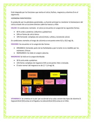 Está integrado por las funciones que realiza el calcio, fosforo, magnesio y vitamina D en el
organismo.
HORMONA PARATIROIDEA
Es producida por las glándulas paratiroides, su función principal es mantener la homeostasis del
calcio a través de sus acciones directas sobre los huesos y riñón.
CALCIO: En condiciones normales el calcio se encuentra en sangre de las siguientes formas.
 40 % unido a proteínas (albumina y globulinas)
 59% en forma de calcio iónico
 10% formando complejos de calcio (citrato, sulfato, y lactato de calcio).
En condiciones normales el rango de calcemia se encuentra entre 8,5 y 10,5 mg/ dL.
FOSFORO: Se encuentra en la sangre de dos formas
 ORGANICA: Formando parte de los fosfolípidos y por lo tanto no es medible por los
exámenes clínicos.
 INORGANICA: Se mide en sangre o plasma.
MAGNESIO: Se halla en la sangre distribuido:
 30 % está unido a proteínas
 15% forma complejos de magnesio 55% se encuentra libre o ionizada.
 El valor normal del magnesio es de 1,7- 2,4 mg/ dL
VITAMINA D: Se sintetiza en la piel por acción de la luz solar, existen dos tipos de vitamina D.
Ergocalciferol (D2) actúa en el hígado y la colecalciferol (D3) actúa en el riñón.
 
