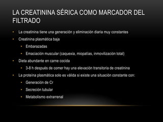 LA CREATININA SÉRICA COMO MARCADOR DEL
FILTRADO
• La creatinina tiene una generación y eliminación diaria muy constantes
• Creatinina plasmática baja
• Embarazadas
• Emaciación muscular (caquexia, miopatías, inmovilización total)
• Dieta abundante en carne cocida
• 3-8 h después de comer hay una elevación transitoria de creatinina
• La proteína plasmática solo es válida si existe una situación constante con:
• Generación de Cr
• Secreción tubular
• Metabolismo extrarrenal
 