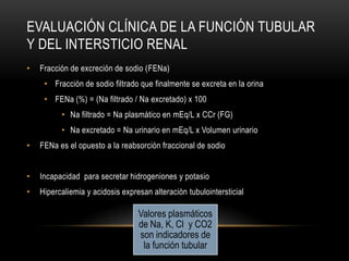 EVALUACIÓN CLÍNICA DE LA FUNCIÓN TUBULAR
Y DEL INTERSTICIO RENAL
• Fracción de excreción de sodio (FENa)
• Fracción de sodio filtrado que finalmente se excreta en la orina
• FENa (%) = (Na filtrado / Na excretado) x 100
• Na filtrado = Na plasmático en mEq/L x CCr (FG)
• Na excretado = Na urinario en mEq/L x Volumen urinario
• FENa es el opuesto a la reabsorción fraccional de sodio
• Incapacidad para secretar hidrogeniones y potasio
• Hipercaliemia y acidosis expresan alteración tubulointersticial
Valores plasmáticos
de Na, K, Cl y CO2
son indicadores de
la función tubular
 