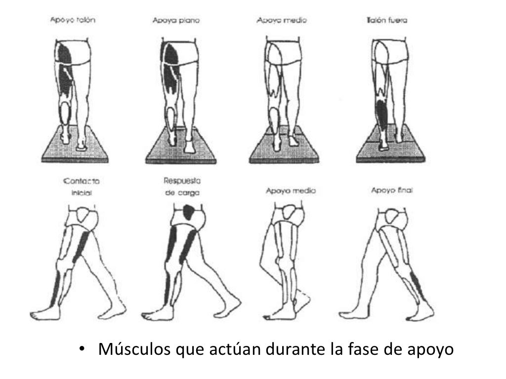 Evaluación de la marcha normal