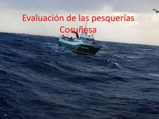 Evaluación de las pesquerías
Coruñesa
 