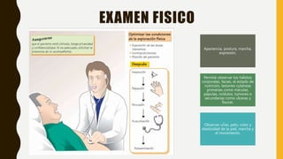 EXAMEN FISICO
Apariencia, postura, marcha,
expresión.
Permite observar los hábitos
corporales, facies, el estado de
nutrición, lesiones cutáneas
primarias como máculas,
pápulas, nódulos, tumores o
secundarias como úlceras y
fisuras.
Observar uñas, pelo, color y
elasticidad de la piel, marcha y
el movimiento.
 