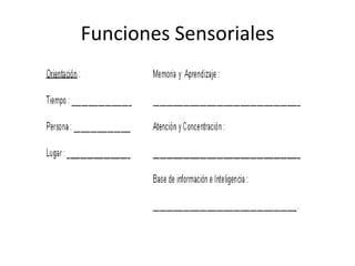 Funciones Sensoriales
 