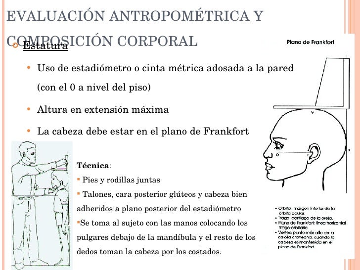 EvaluacióN Del Estado Nutricional