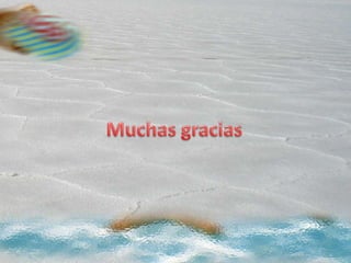 Evaluación del proyecto fitoatocha