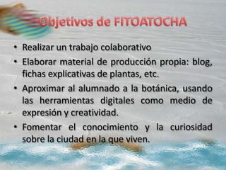 • Realizar un trabajo colaborativo
• Elaborar material de producción propia: blog,
fichas explicativas de plantas, etc.
• Aproximar al alumnado a la botánica, usando
las herramientas digitales como medio de
expresión y creatividad.
• Fomentar el conocimiento y la curiosidad
sobre la ciudad en la que viven.
 