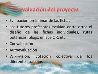 • Evaluación preliminar de las fichas
• Los tutores profesores evalúan entre otros el
diseño de las fichas individuales, rutas
botánicas, blogs, enlace QR, etc.
• Coevaluación
• Autoevaluación
• Wiki-visión: votación colectiva de los
diferentes trabajos
 