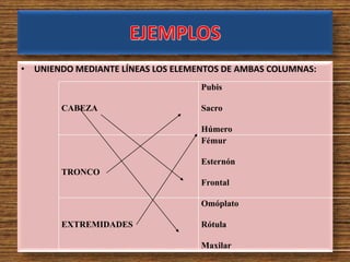 • UNIENDO MEDIANTE LÍNEAS LOS ELEMENTOS DE AMBAS COLUMNAS:
CABEZA
Pubis
Sacro
Húmero
TRONCO
Fémur
Esternón
Frontal
EXTREMIDADES
Omóplato
Rótula
Maxilar
 