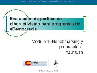 Módulo 1- Benchmarking y propuestas  04-05-10 Evaluación de perfiles de ciberactivismo para programas de eDemocracia © Maite Vizcarra 2010 