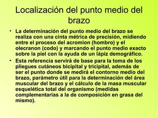 Localización del punto medio del
               brazo
• La determinación del punto medio del brazo se
  realiza con una cinta métrica de precisión, midiendo
  entre el proceso del acromion (hombro) y el
  olecranon (codo) y marcando el punto medio exacto
  sobre la piel con la ayuda de un lápiz demográfico.
• Esta referencia servirá de base para la toma de los
  pliegues cutáneos bicipital y tricipital, además de
  ser el punto donde se medirá el contorno medio del
  brazo, parámetro útil para la determinación del área
  muscular del brazo y el cálculo de la masa muscular
  esquelética total del organismo (medidas
  complementarias a la de composición en grasa del
  mismo).
 