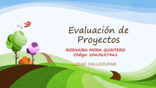 Evaluación de 
Proyectos 
ROSNAIRA MORA QUINTERO 
Código: 1065657461 
CEAD VALLEDUPAR 
 