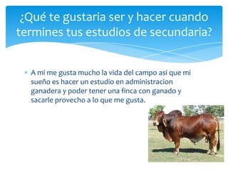 A mi me gusta mucho la vida del campo asi que mi
sueño es hacer un estudio en administracion
ganadera y poder tener una finca con ganado y
sacarle provecho a lo que me gusta.
¿Qué te gustaria ser y hacer cuando
termines tus estudios de secundaria?
 
