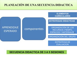 PLANEACIÓN DE UNA SECUENCIA DIDACTICA
APRENDIZAJE
ESPERADO
componentes
ELEMENTOS
CURRICULARES
ESTRATEGIAS DIDACTICAS
ORGANIZACIÓN DE LOS
RECURSOS (TIEMPO,
ESPACIOS Y MATERIALES)
ORGANIZACIÓN DEL GRUPO
ESTRATEGIA DE
EVALUACION
SECUENCIA DIDACTICA DE 3 A 5 SESIONES
 