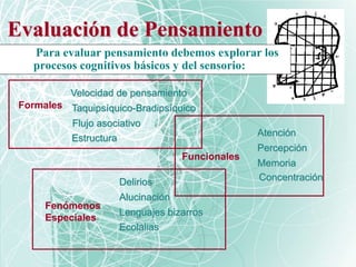 Evaluación de Pensamiento
Para evaluar pensamiento debemos explorar los
procesos cognitivos básicos y del sensorio:
Atención
Percepción
Memoria
Funcionales
Concentración
Velocidad de pensamiento
Taquipsíquico-Bradipsíquico
Flujo asociativo
Formales
Estructura
Delirios
Alucinación
Lenguajes bizarros
Fenómenos
Especiales
Ecolalias
 