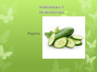Pepino
 