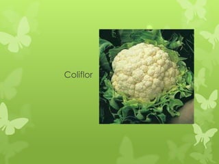Coliflor
 