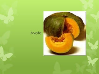 Ayote
 