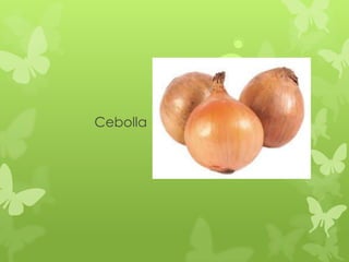 Cebolla
 