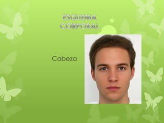 Cabeza
 