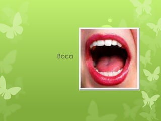 Boca
 