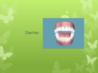 Dientes
 