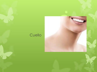 Cuello
 