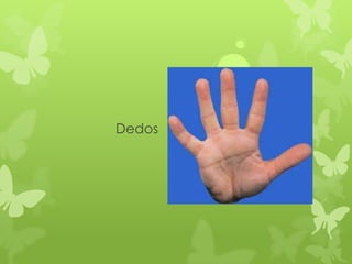 Dedos
 