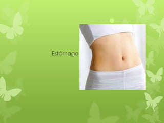 Estómago
 