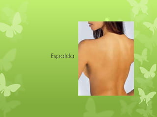 Espalda
 