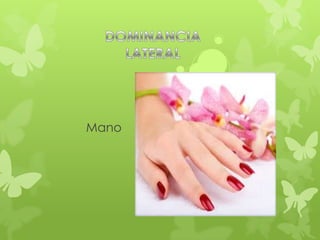 Mano
 