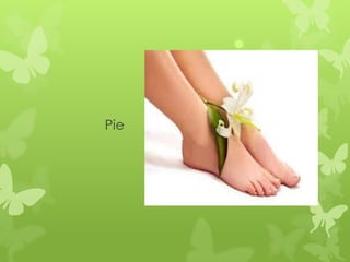 Pie
 