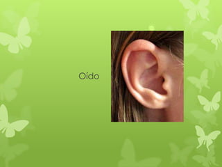 Oído
 