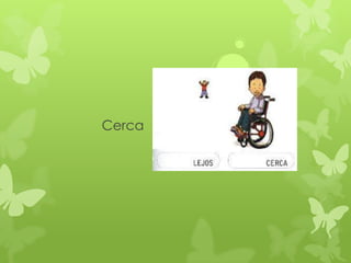 Cerca
 