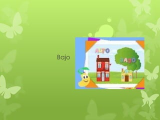 Bajo
 