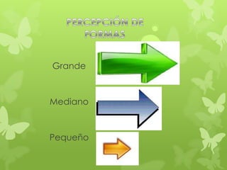 Grande



Mediano



Pequeño
 
