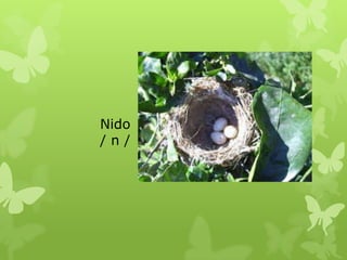 Nido
/n/
 