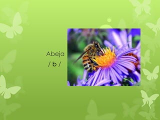 Abeja
/b/
 
