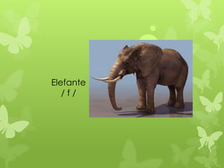 Elefante
   /f/
 
