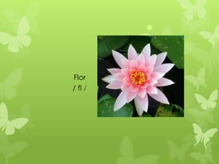 Flor
/ fl /
 