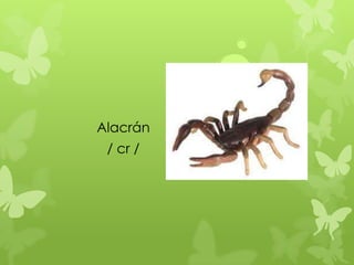 Alacrán
 / cr /
 