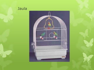 Jaula
 