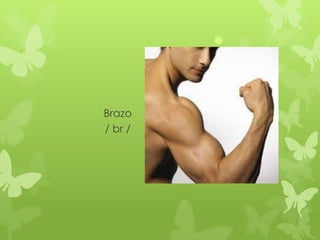Brazo
/ br /
 